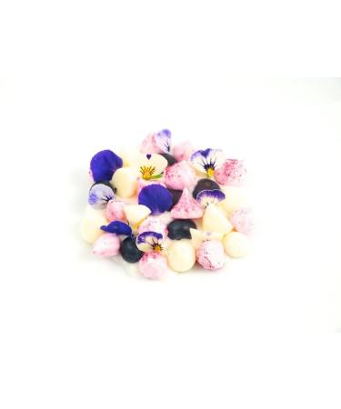 Special Ingredients Easy Whip 100g - Vegan GVO-Free Whipped Mousse & Foam Maker for Airy Desserts | International Shipping - Buy Online on GoSupps.com