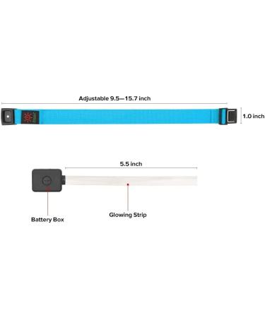 BSEEN 2 Pack LED Armbands for Running - Glow in The Dark Safety Gear Bracelet Sports Wristbands, Fluorescent Blue - Buy Online on GoSupps.com