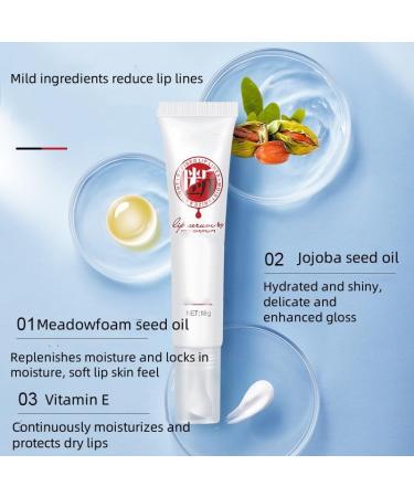 Lip Serum by Vitamin Extract Dark Lip Treatment Lip Blam for Dark Lips Smokers and Non-Smokers Vitamin E Lip Essence Protection Repair Long-Lasting Moisturizer Lip Care - Buy Online on GoSupps.com