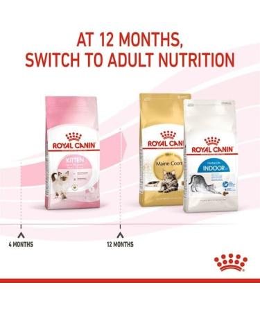 Royal Canin Kitten Dry Food 400g Poultry 400 g (Pack of 1) - Buy Online on GoSupps.com