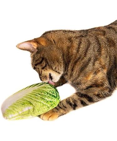 Silvervine Jumbo Chinese Cabbage Cuddle Toy - Buy Online on GoSupps.com