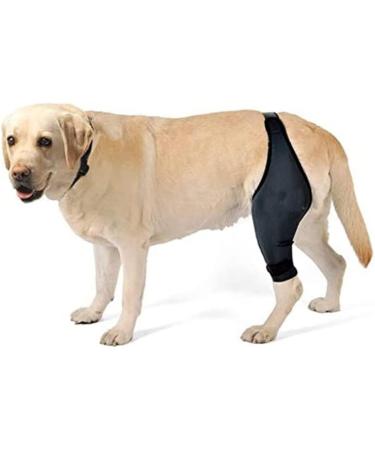 BELLIFFY Dog Foreleg Brace Puppy Knee Braces Dog Acl Brace Hind Leg Paws Pet Mesh Fabric Large Dog Elbow Pads S As Shown - Buy Online on GoSupps.com