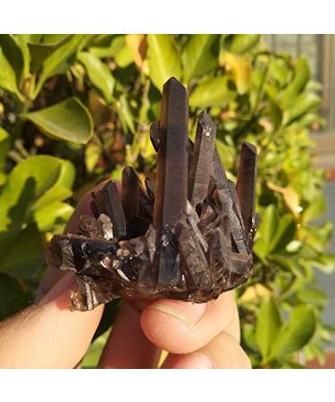 Crystal Rough 90-100g Natural Beautiful Black Quartz Crystal Cluster Tibetan Specimen - Buy Online on GoSupps.com