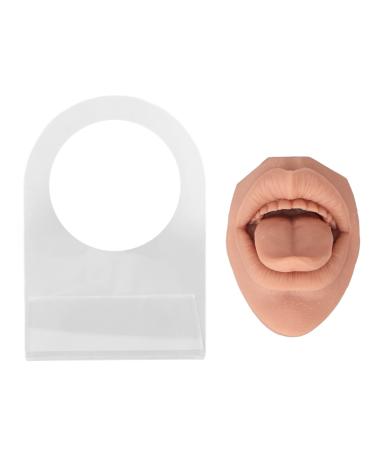 Tongue model made of soft silicone with acrylic stand.Life-based mouth model for jewelry presentation and tongue piercing exercises ideal for nursing training (meat blonde)