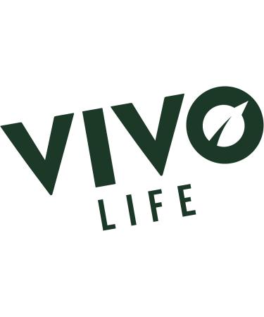 Vivo Life Perform Plant Protein Powder - Vanilla - Vegan 252g - BCAA Pea & Hemp Blend - 7 Servings - International Shipping - Buy Online on GoSupps.com