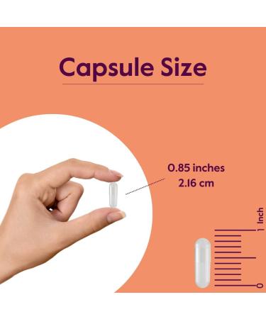 BESTVITE DL-Phenylalanine 500mg (240 Vegetarian Capsules) (2-Pack) - No Stearates - No Fillers - Vegan - Gluten Free - Non GMO 1 Count (Pack of 240) - Buy Online on GoSupps.com