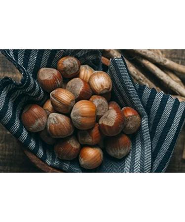Natural Hazelnuts in Shell - 2 kg | Premium Quality | Fresh & Delicious from Poland - Buy Now! - Buy Online on GoSupps.com