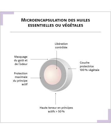 ARAGAN - Synactives - Transitactives - Intestinal Transit Food Supplement - Tamarind Purple Psyllium Prune Chicory - 20 capsules - 10 days taken - Made in France - Buy Online on GoSupps.com