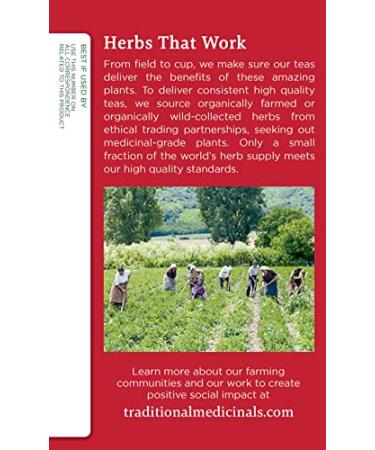 Organic Throat Coat Herbal Tea - 32 Tea Bags for Throat Health (Pack of 2) - Buy Online on GoSupps.com