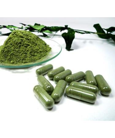 Organic Majestic Herbs Jiaogulan Capsules | Improve Health & Longevity | Antiaging | 100% Crushed Leaf | 100x500mg - Buy Online on GoSupps.com