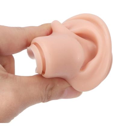 3 Pairs of Soft Silicone Ear Models - Realistic 3D Counter-Ear Display for Teaching & Exercise with Acrylic Holder - International Shipping Available - Buy Online on GoSupps.com
