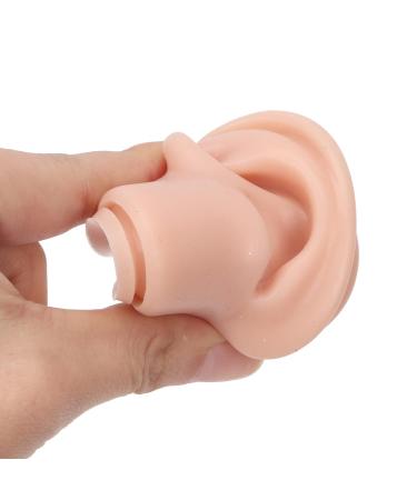 3 Pairs of Soft Silicone Ear Models with Acrylic Holder - Perfect for Piercing Practice & Presentation - Buy Online on GoSupps.com