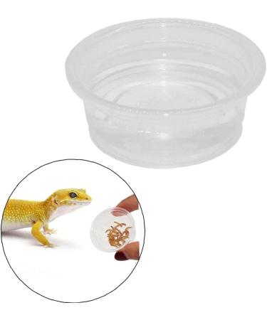 Yililay Gecko Food And Water Containers Reptile Feeder Bowls Gecko Transparent Feeder Bowls Reptile Feeding Plastic Dish Gecko Food Water Containers 100Pcs - Buy Online on GoSupps.com