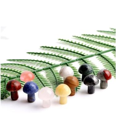 Crystal Rough Crystal Ornaments 1PC Mini Crystal Mushroom Natural Stones Carved Crafts Decoration Quartz Trinket Gift Ornament Aquarium Home Decor Gift (Color : Kambaba Jasper Size : 1pc) 1pc Kambaba Jasper - Buy Online on GoSupps.com