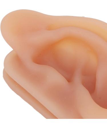 Flexible Silicone Ear Model for Acupuncture Practice | Piercing Display Tool with Stand - International Shipping - Buy Online on GoSupps.com