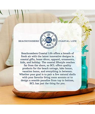 Aliceva Home Decor Accents 6.25 Off White - Pack of 3 | SS-BCS-02710 - Buy Online on GoSupps.com