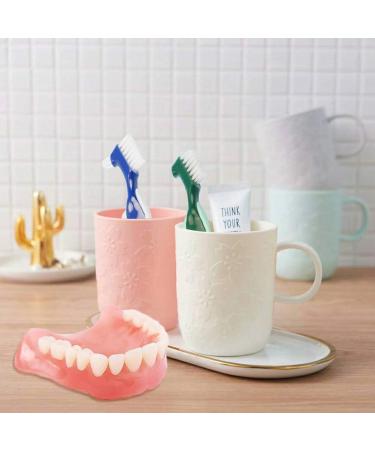 Prosthesis Cleaning Brush Set | 3 Hard Brushes for Optimal Care & Ergonomic Design - Buy Online on GoSupps.com