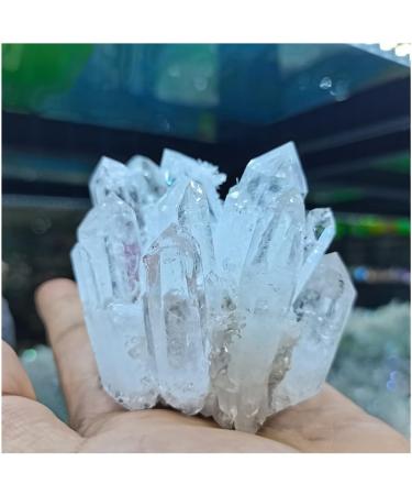 Health & Household Natural Rare White Quartz Crystal Cluster (Size : 400-500g) - Buy Online on GoSupps.com