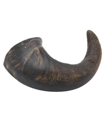 Express Pet Supplies Medium Buffalo Horn 5 Pack Dog Treat Chew Five Medium Horns