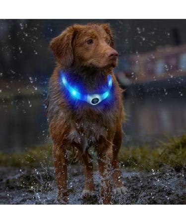 Laroo LED Dog Collar - USB Rechargeable Night Safety Luminous Collar for Small Medium Large & Long-Haired Dogs - 3 Modes 65cm x 2.5cm Blue - Buy Online on GoSupps.com