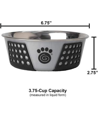 PetRageous 13097 Fiji Stainless Steel Non-Slip Dog Bowl - Grey, Medium | Dishwasher Safe - Buy Online on GoSupps.com