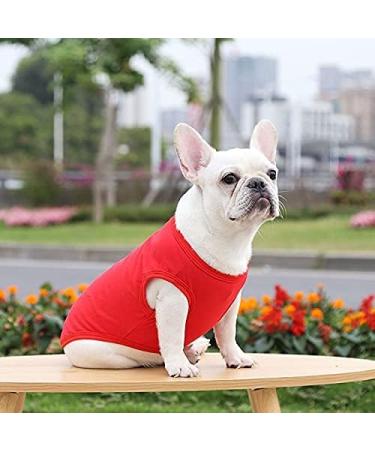 Custom Personalized Dog Shirts - Unique Pet Clothing for Dogs & Cats with Name/Photo/Logo - Buy Online on GoSupps.com