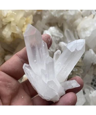 Home Decoration Natural Beautiful White Crystal Cluster Clear Quartz Raw Ore Crystals Point Specimen Home Decor Crafts Ornaments Stones Crystal (Size : 60-70g)