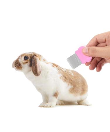 Buy Dxary Rabbit Care Set - Essential Brush and Bathing Kit for Rabbits Guinea Pigs and Small Pets - Fast International Shipping - Buy Online on GoSupps.com