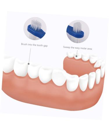 Beaupretty 3 St Toothbrush - Double-Sided Prosthesis Brush for Dental Care | International Shipping - Buy Online on GoSupps.com