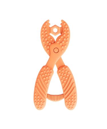 Bite Ring for Babies - 4 Silicone Teething Toys with Toothbrush | BPA Free Baby Bite Rings for Toddlers | Easy Handle Design - Buy Online on GoSupps.com