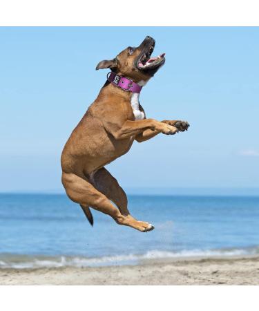 Buy Tspro Tactical Dog Collar - Military Quality 3.8 cm Wide Adjustable Violet-L (52-60cm) - Strong & Durable with Metal Buckle - Buy Online on GoSupps.com