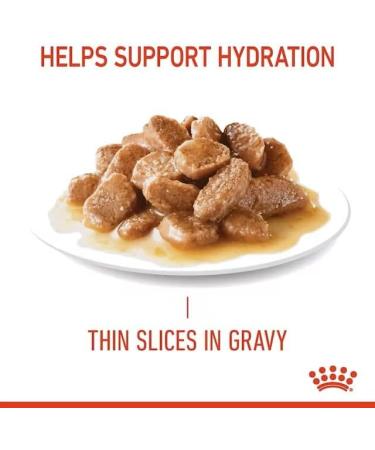 Royal Canin Digestive Care Adult Wet Cat Food in Gravy 48 x 85g Multipack - Buy Online on GoSupps.com