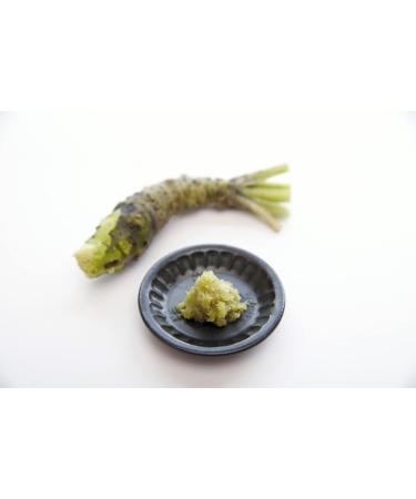Mokkosu Japanese Classic Grater for Wasabi & Ginger - Size L Made in Japan | Premium Quality Kitchen Tool for Authentic Japanese Cuisine - Buy Online on GoSupps.com