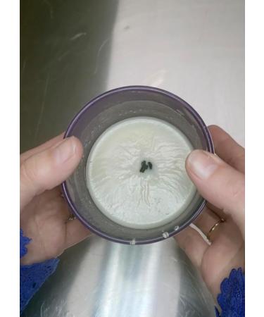 Olive Leaf & Citron Candle Refill | All-Natural Handmade & Plant-Based | Eco-Friendly Zero Waste 8oz - Buy Online on GoSupps.com