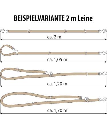 Buy COPCOPET 3-Way Adjustable Dog Leash - Handmade Fat Leather Chrome Fittings 2.40m x 8mm Green - International Shipping Available - Buy Online on GoSupps.com