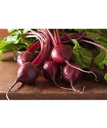 15.13g Organic Detroit Dark red Beet Tail - Buy Online on GoSupps.com