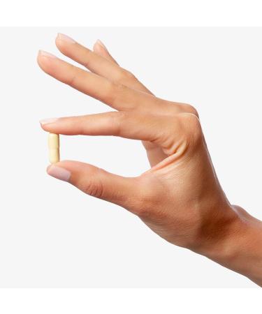 Celltrient Strength Capsules 56 Count - Potent Antioxidant Supplement (Pack of 1) - Buy Online on GoSupps.com