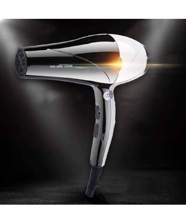 Professtional Hair Dryer 2000W Ionic Hairdryer Blow Dryer Salon Hairdryer 2 Speed 3 Heat Setting with Negative ION Eliminate Static Electricity Low Noise Lightweight for Home Travel Small Gift - Buy Online on GoSupps.com