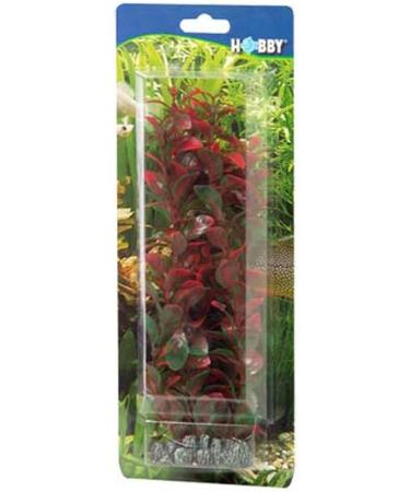 Hobby Ludwigia 34 cm - Vibrant Aquatic Plant for International Shipping | Enhance Your Aquarium - Buy Online on GoSupps.com