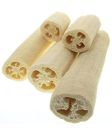 Buy Kosmetex Luffa Cucumber Sponge - Natural Fiber Bath & Shower Sponge 34 cm | Eco-Friendly Exfoliating Body Cleanser - International Shipping Available - Buy Online on GoSupps.com