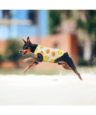 Buy 2-Piece Breathable Dog Shirts | Summer Pet Clothing with Fruit Patterns for Small & Medium Dogs & Cats - Buy Online on GoSupps.com