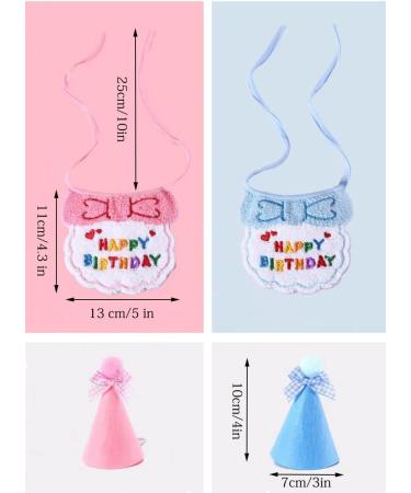 Cute Cat & Dog Birthday Party Supplies - Pink Birthday Bandana & Hat Set - Buy Online on GoSupps.com