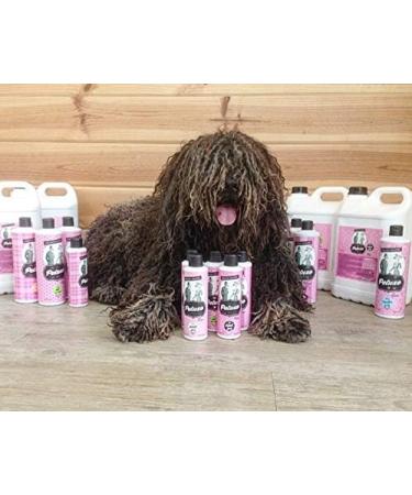 Petuxe Biphasic Conditioner for Pets - Vegan Formula for Dogs & Cats | Moisturizes & Adds Shine | 300ml - Buy Online on GoSupps.com