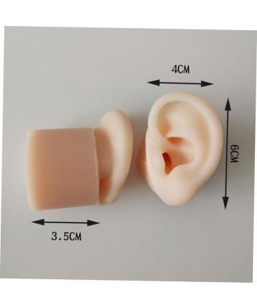 Silicone Ear Models for Practice - 1 Pair Ear Picking & Display Samples - Buy Online on GoSupps.com