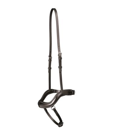 Waldhausen X-Line Reithaler Newshape