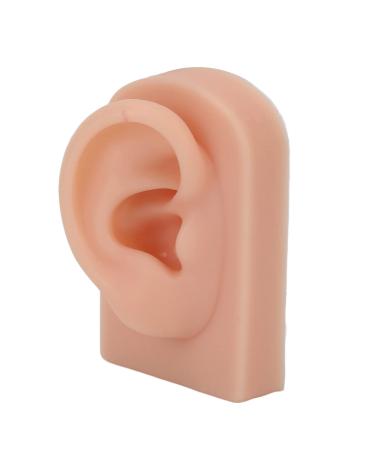 Comfortable silicone-human ear model right ear model false ear soft to see headphone acupuncture training
