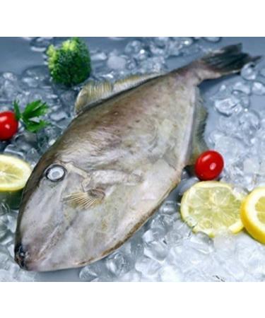 WENXUANSU:Charcoal grilled seafood snack Yellowfin Filefish 3 Pound (1362 grams) from South China Sea - Buy Online on GoSupps.com