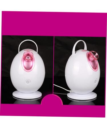 WOONEKY 1pc Face Steamer Sprayer Pore Cleaner Portable Humidifiers White and Face Steamer Egg Steamer - Buy Online on GoSupps.com