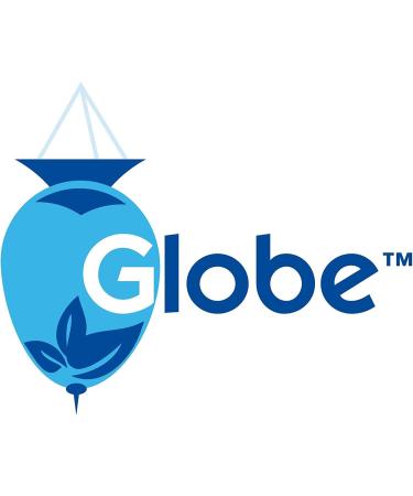 (6 Pack) Globe Tolnaftate 1% Cream 1 oz - Clinically Proven Antifungal Treatment for Athlete's Foot & Ringworm - Compare to Leading Brands - Buy Online on GoSupps.com
