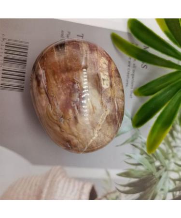Specimen Natural Wood Palm Stone Crystal MeditationEnergy Home Decoration Collection As GiftStone Full of Texture - Buy Online on GoSupps.com